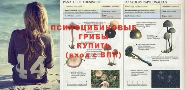 гидра Балабаново